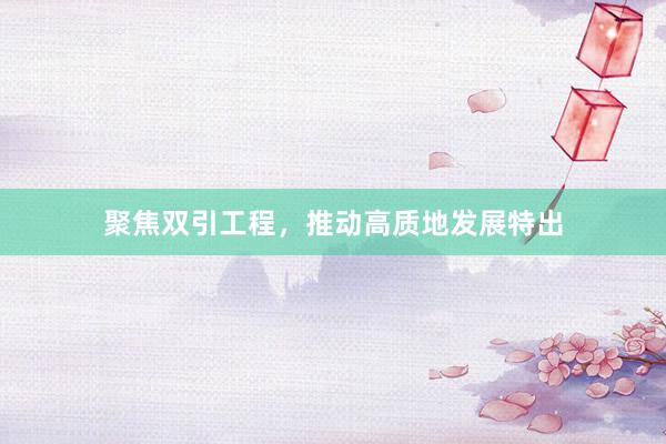 聚焦双引工程，推动高质地发展特出